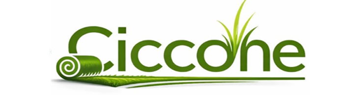 Ciccone - Partner AILab Technology